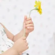 Hanaの画像