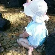 はな家