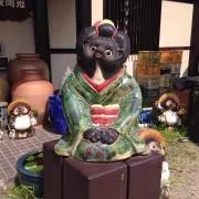 たぬき