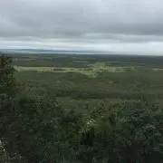 Oka