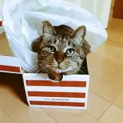 はる
