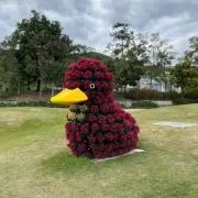 R'sの画像
