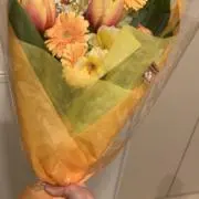 あぽたろちゃんの画像