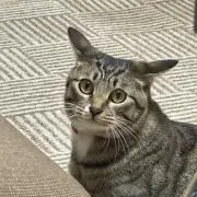 kantana ^^"