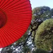 ぴょんす