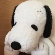 ピーナッツの画像