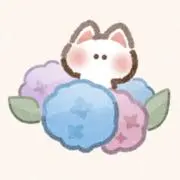 ‪yuriの画像