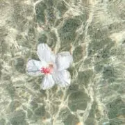 ♡の画像