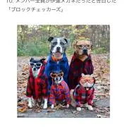 ミィ