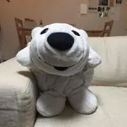 ユダ