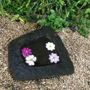 hirabiの画像