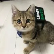 グリコの画像