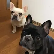ひとみの画像