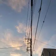 ズボラの画像