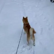 セイジローの画像