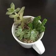 うらちゃん☆
