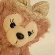 シェリーメイの画像