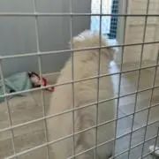 サニーの画像
