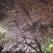 h.即購入OKの画像