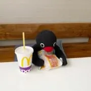 Hiの画像