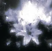 Yuの画像