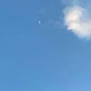 もるの画像