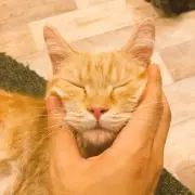あー！の画像