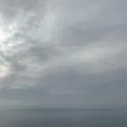 nicoの画像