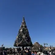 よろぴの画像