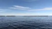 まめの画像