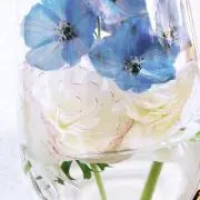 零毀