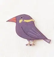 きゅうかんちゃんの画像