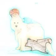 もあ（プロフみてください）の画像
