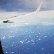 ゆりんの画像