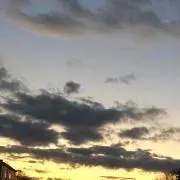しの画像