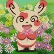 みすけの画像