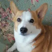 ゆーきゃん