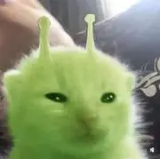 しろの画像