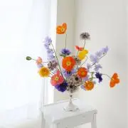 ranaの画像