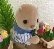 のんたの画像
