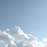 ☆Ponta☆の画像