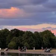 samoの画像