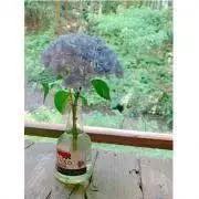 es。の画像
