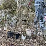 もや六の画像