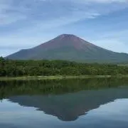 Snapperの画像
