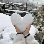 taの画像
