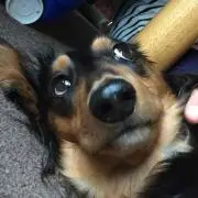 NKの画像
