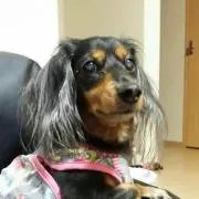 蘭ラン蘭