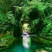 ひらの画像