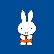 うさぎの画像
